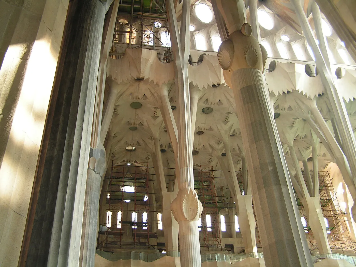The forest of columns inside the Sagrada Familia
