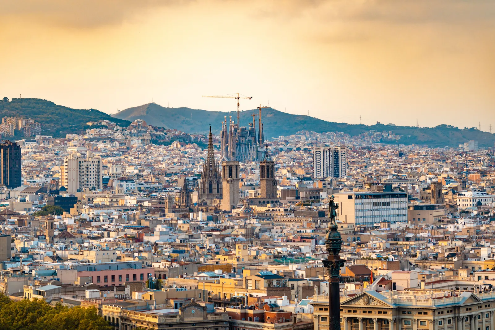 The Sagrada Familia towers seen across Barcelona rooftops in evening light, Spain