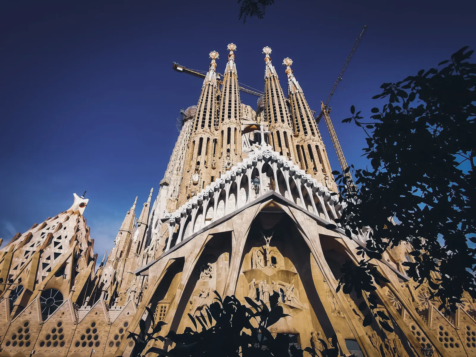 The Nativity facade of the Sagrada Familia in Barcelona framed by trees, with construction cranes above