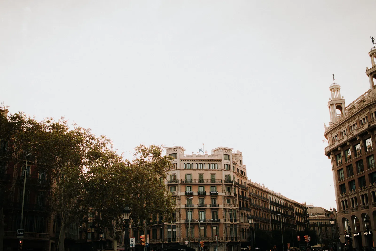 A corner building of the Eixample with wrought iron balconies above the plane trees of Passeig de Gracia, Barcelona