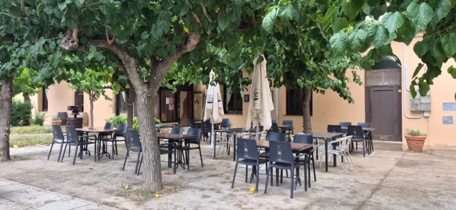 A paved courtyard in the shade of trees, dark metal chairs and closed fabric parasols