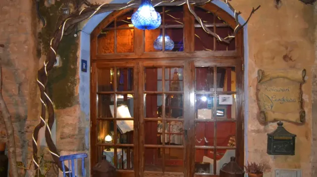 An arched wood and glass door with a blue hanging lamp and curling branches around it