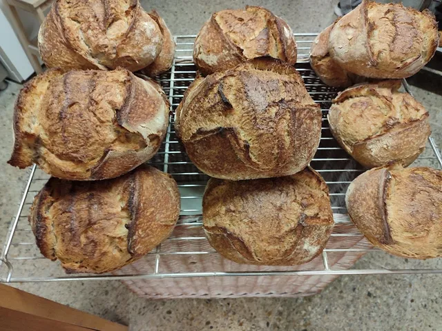Well baked rustic loaves of bread cooling on a metal rack