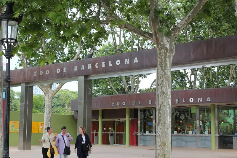 Entrance gate lettered Zoo de Barcelona among plane trees