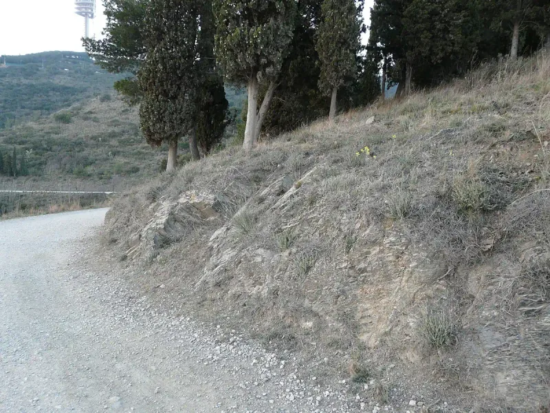 Wide gravel trail along a dry hillside with scattered trees