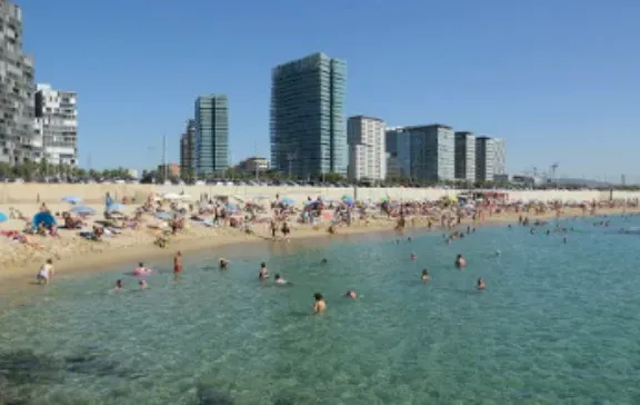 Bathers in shallow water and rows of parasols on the sand, with residential towers behind