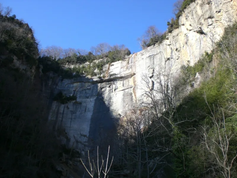 Tall white rock cliff above woodland, with no water falling