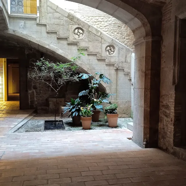 A vaulted stone courtyard with a staircase, clay pots and green plants