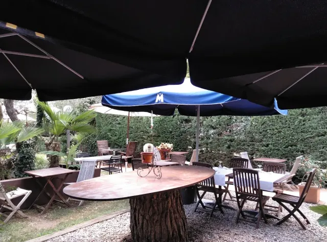 An oval table on a tree trunk in a garden, under large black parasols