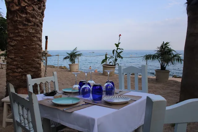 A set table with blue glasses on the sand, between palm trunks facing the sea