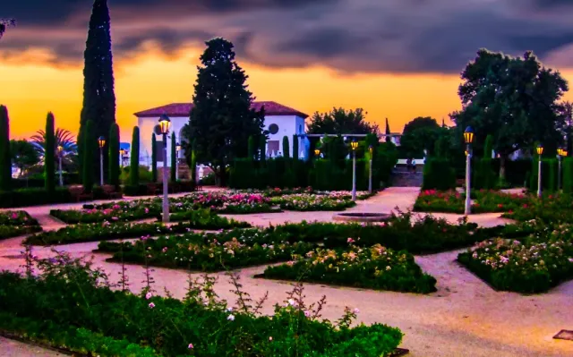 Trimmed rose beds with lamp posts and an orange sky at sunset