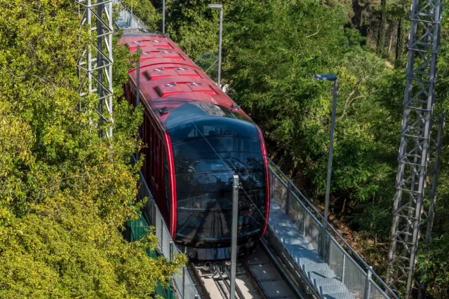 A modern red car climbing a steep slope track between green trees