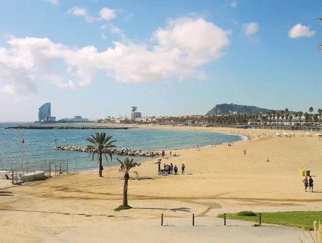 A wide strip of sand with a lone palm, a rock breakwater and towers along the shore