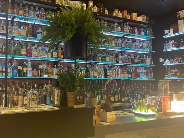 A wall of glass shelves lit in turquoise and loaded with bottles, with ferns hanging among them