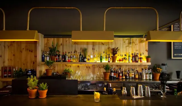 A light wooden wall with bottle shelves lit in yellow and potted plants on the counter