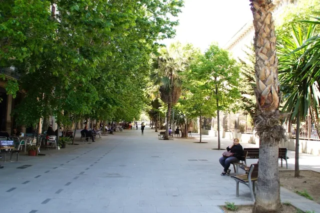 An avenue shaded by tall trees, with benches, a palm and cafe tables at the side