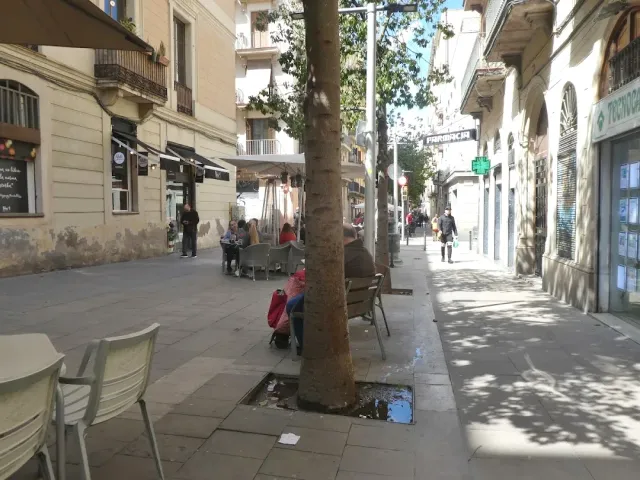 A pedestrian street with plane trees, terrace tables and passers by